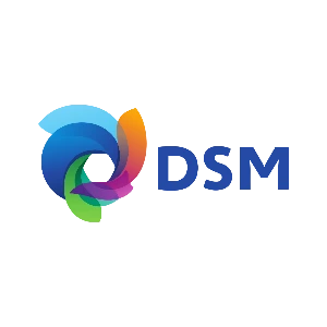 Logo DSM